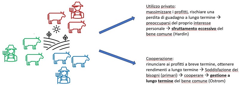 La cooperazione