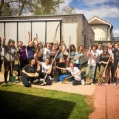 Biodiverstität_Asphalt_Beton