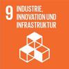 SDG 9